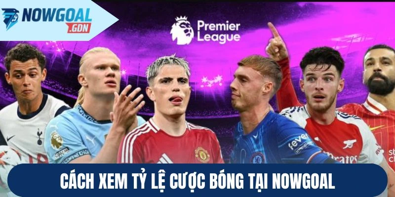 Cách xem tỷ lệ cược bóng tại Nowgoal