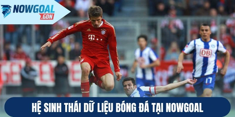 Hệ sinh thái dữ liệu bóng đá tại Nowgoal