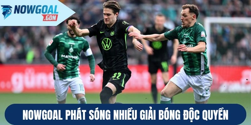 Nowgoal phát sóng nhiều giải bóng độc quyền