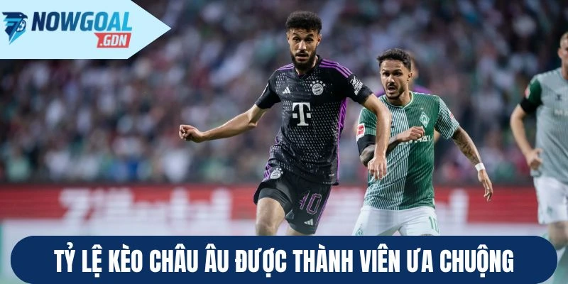 Tỷ lệ kèo châu Âu được thành viên ưa chuộng