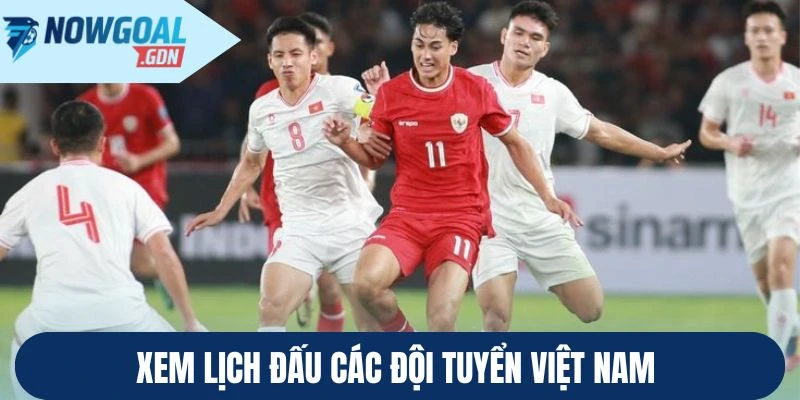 Xem lịch thi đấu chuẩn xác ở Nowgoal