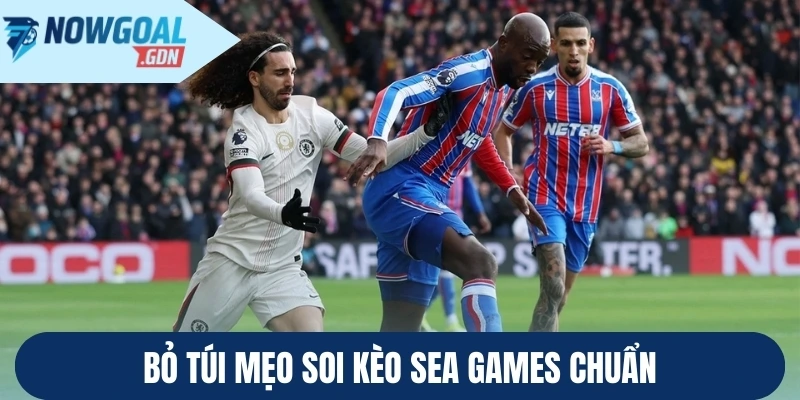 bo-tui-meo-soi-keo-sea-games-chuan.webp