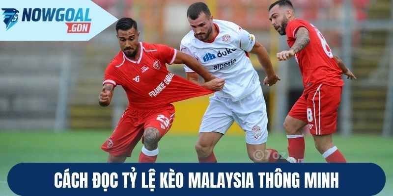 Cách đọc tỷ lệ kèo Malaysia thông minh