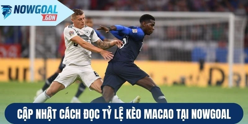 Cập nhật cách đọc tỷ lệ kèo Macao tại Nowgoal