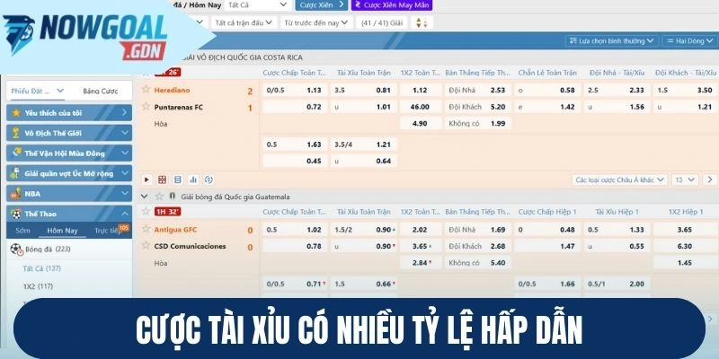 Cược tài xỉu có nhiều tỷ lệ hấp dẫn