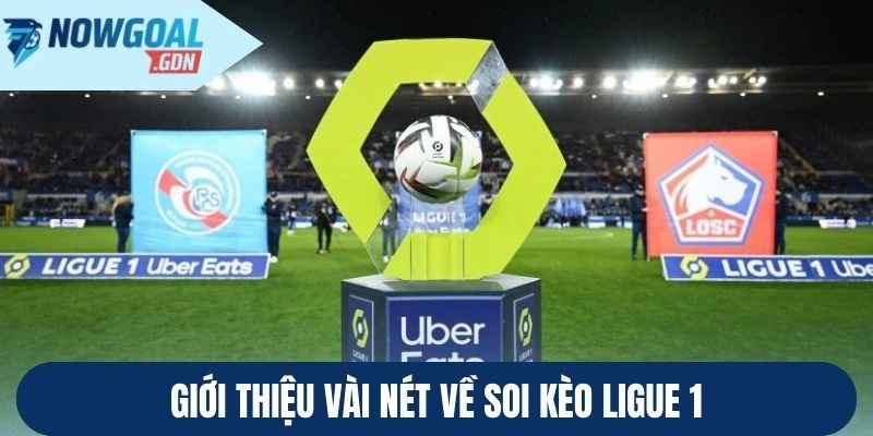 Giới thiệu vài nét về soi kèo Ligue 1