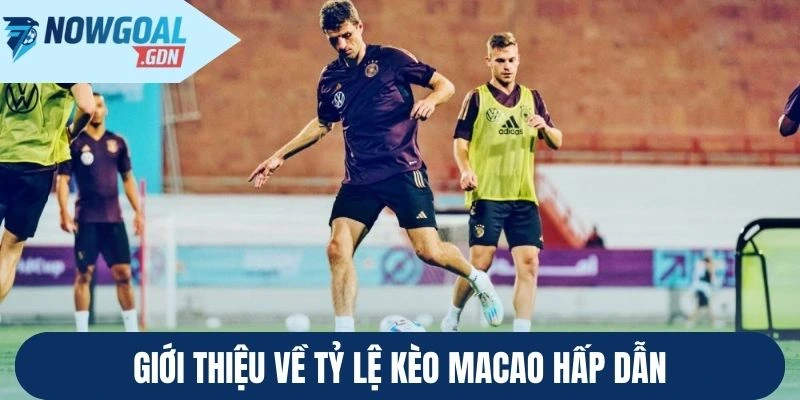 Giới thiệu về tỷ lệ kèo Macao hấp dẫn