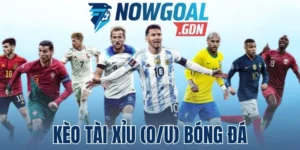 Chia sẻ các tỷ lệ kèo O/U hay gặp nhất