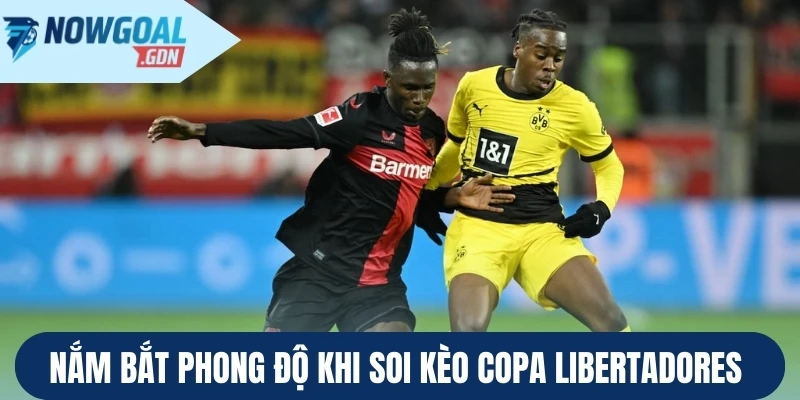 Nắm bắt phong độ khi soi kèo Copa Libertadores 