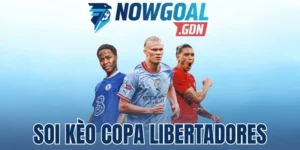 Soi Kèo Copa Libertadores – Góc Nhìn Từ Chuyên Gia Nowgoal