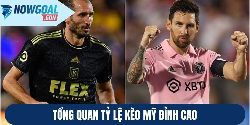 Tổng quan tỷ lệ kèo Mỹ đỉnh cao