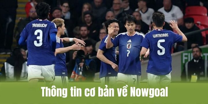 Nowgoal và một vài thông tin cơ bản cần quan tâm