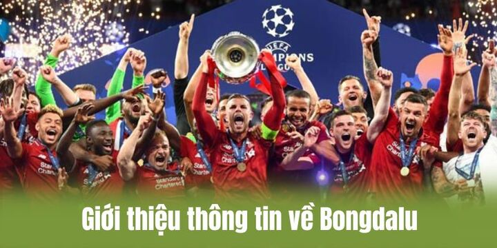 Giới thiệu tổng hợp về trang thể thao bongdalu